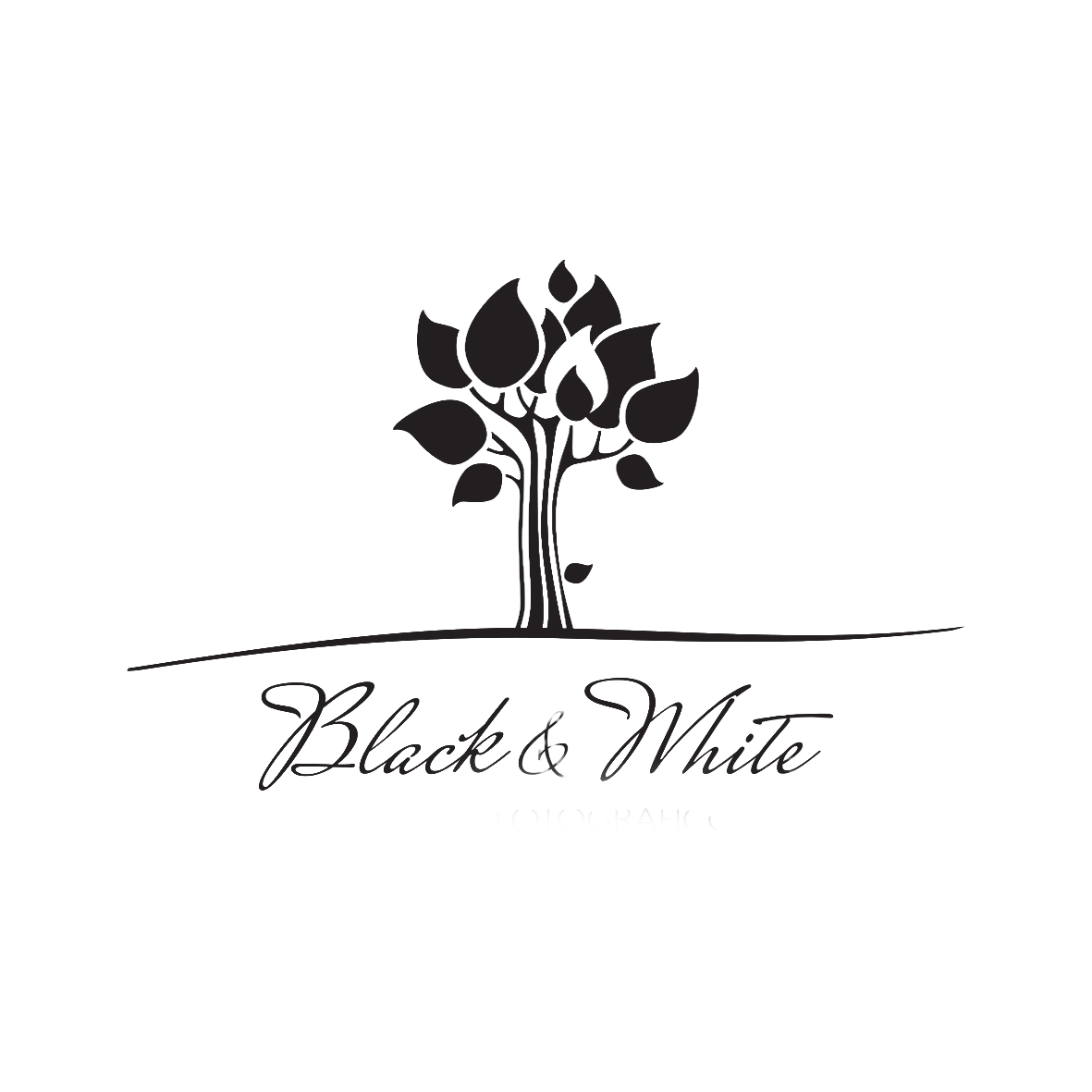 Rocco Di Fiore fotografo